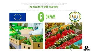 Rwanda Horticulture Market Overview