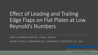 Effect of Leading and Trailing Edge Flaps on Flat Plates at Low Reynolds Numbers