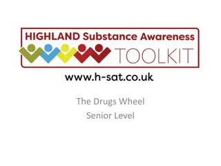 Understanding Drug Categories and Effects with The Drugs Wheel Senior Level