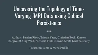 Uncovering the Topology of Time-Varying fMRI Data using Cubical Persistence