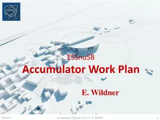 ESSnuSB Accumulator Work Plan Update