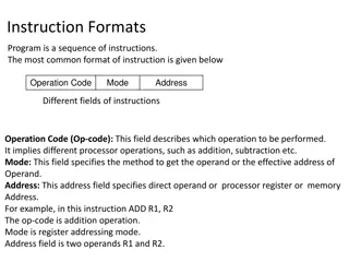 Different Instruction Formats in Computing