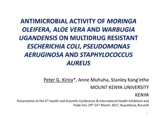 Antimicrobial Activity of Moringa Oleifera, Aloe Vera on Multidrug-Resistant Bacteria