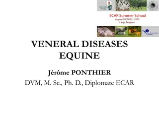 Equine Venereal Diseases: Diagnosis and Treatment Overview by Jrme PONTHIER DVM