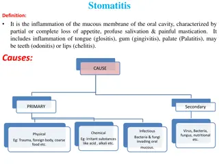 Understanding Stomatitis: Causes, Symptoms, and Treatment Options