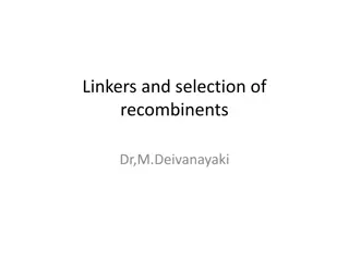 DNA Linkers, Adapters, and Selection of Recombinants