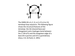 Structural Features of GNRA Tetraloop in DNA