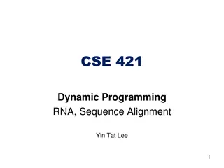 Understanding RNA Secondary Structure Through Dynamic Programming