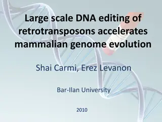 DNA Editing of Retrotransposons and Mammalian Genome Evolution