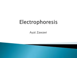 Electrophoresis and Its Applications in Biochemistry