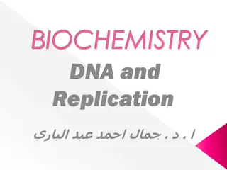 Insights into DNA Replication and Chromosome Structure