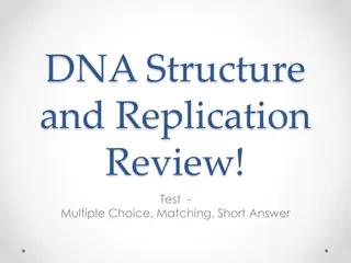 DNA Structure and Replication Overview Test