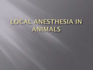 Local Analgesia and Anesthesia: Types and Mechanisms Explained