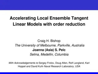 Accelerating Local Ensemble Tangent Linear Models