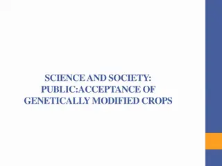 Public Acceptance of Genetically Modified Crops: Concerns, Status, and Trust Issues