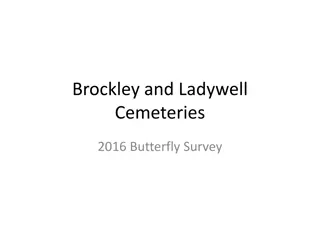 Brockley and Ladywell Cemeteries 2016 Butterfly Survey