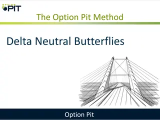 Delta Neutral Butterflies