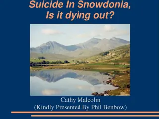 Understanding Suicide Trends in Snowdonia: A Comprehensive Study