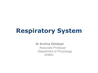 Oxygen Transport in the Respiratory System