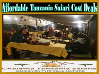 Affordable Tanzania Safari Cost Deals