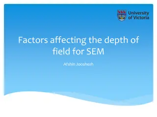 Factors Affecting Depth of Field for Scanning Electron Microscopy (SEM)