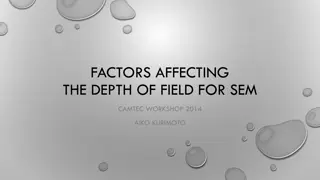 Factors Affecting Depth of Field for SEM Imaging