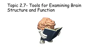 Brain Structure and Function: Tools and Insights