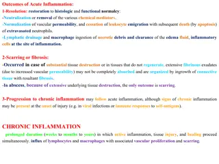 Acute and Chronic Inflammation: Causes, Outcomes, and Resolution