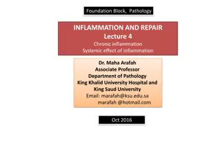 Overview of Chronic Inflammation: Causes, Effects, and Patterns