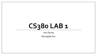 Modern OpenGL Programming Lab Overview