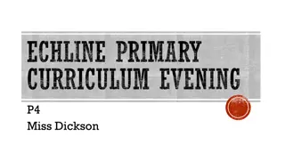 Echline Primary Curriculum Evening Overview