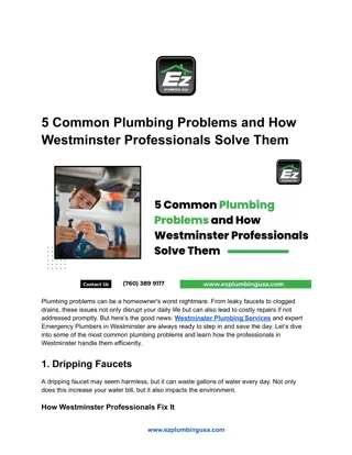 5 Common Plumbing Problems and How Westminster Professionals Solve Them