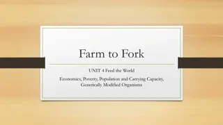 Sustainable Agriculture: Feeding the World and Future Farming Practices