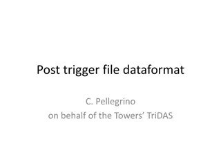 Understanding the Data Formats in NEMO Phase 2