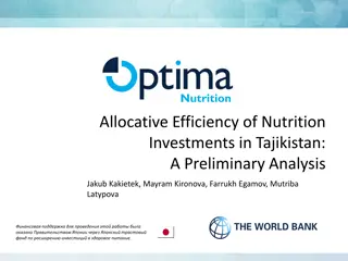 Optima Nutrition: Maximizing Efficiency of Nutrition Investments in Tajikistan