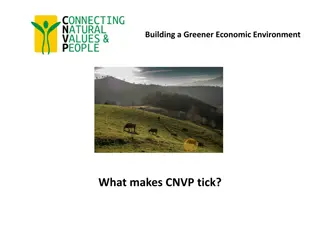 CNVP: Building Sustainable Agri-Rural and Forestry Development