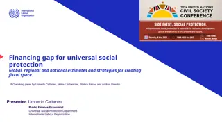 Strategies for Closing the Financing Gap in Universal Social Protection