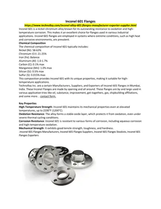 Inconel 601 Flanges