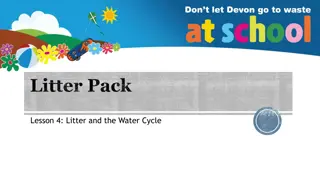 Exploring the Water Cycle and the Impact of Litter