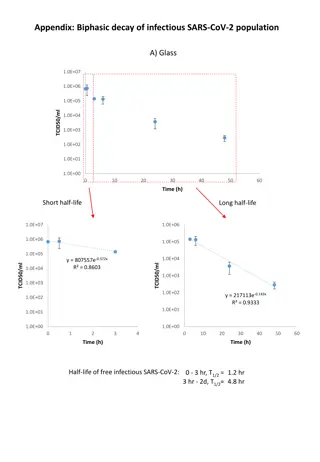 Biphasic Decay of Infectious SARS-CoV-2 Population