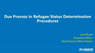 Ensuring Due Process in Refugee Status Determination Procedures