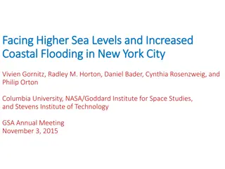 Facing Higher Sea Levels and Coastal Flooding in New York City: Impacts and Resilience Strategies