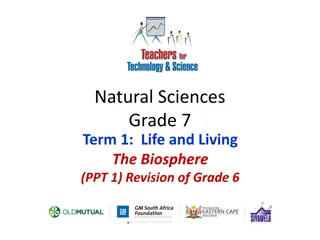 Earth's Biosphere: Grade 7 Science Revision