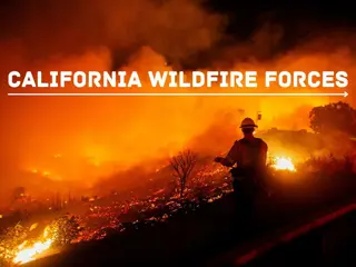 California wildfire forces