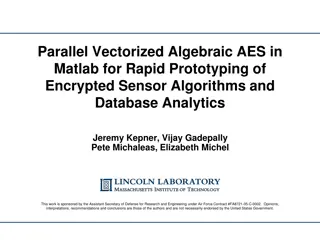 Parallel Vectorized Algebraic AES in Matlab for Rapid Prototyping