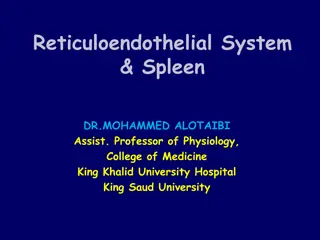 Understanding the Reticuloendothelial System and Spleen