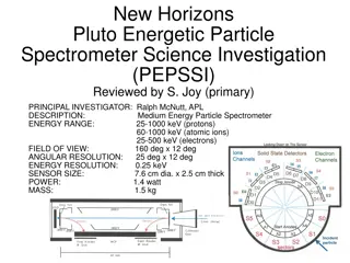 New Horizons Pluto Energetic Particle Spectrometer Science Investigation (PEPSSI) Review