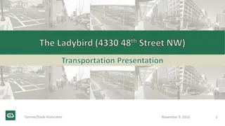 The Ladybird Transportation Project Overview