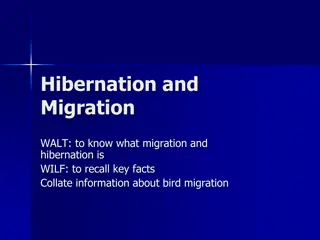 Migration and Hibernation in Animals