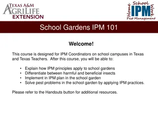 School IPM Essentials: Implementing Integrated Pest Management in School Gardens